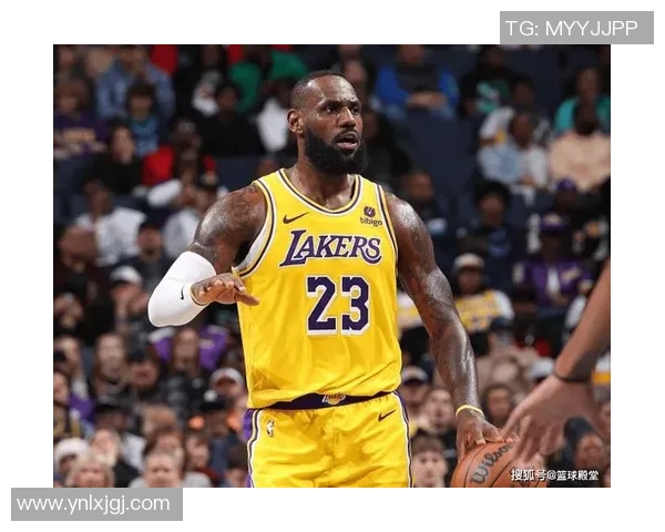 湖人117-112灰熊 球员评价：3人优秀，4人及格，2人低迷