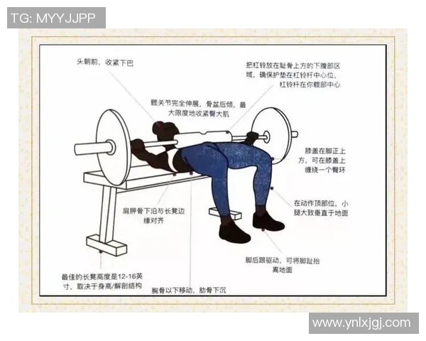 打造完美身材的健身计划:从基础训练到高级技巧全面解析 打造完美身材的健身计划:从基础训练到高级技巧全面解析