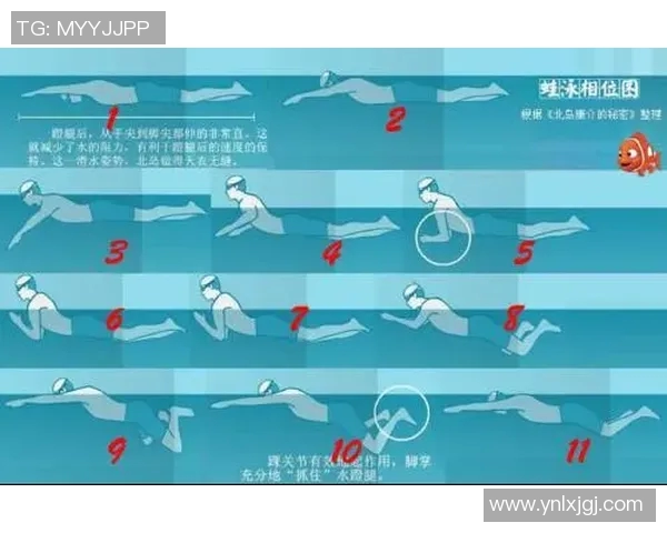 掌握蛙泳技巧从基础到进阶的详细步骤解析与练习方法 掌握蛙泳技巧从基础到进阶的详细步骤解析与练习方法