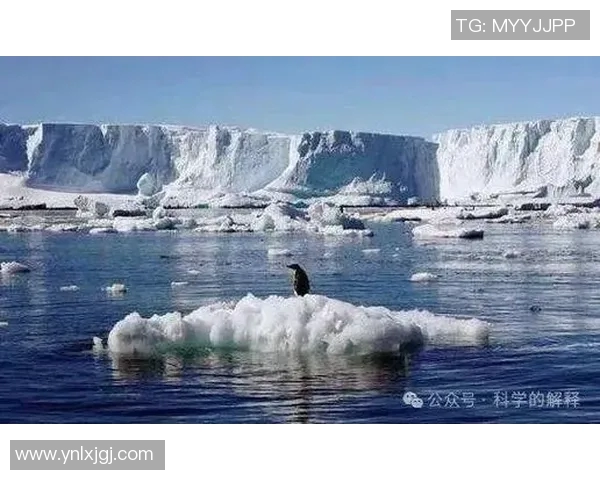 全球气候变化加剧 各国联合应对成效显著但挑战依旧严峻 全球气候变化加剧 各国联合应对成效显著但挑战依旧严峻