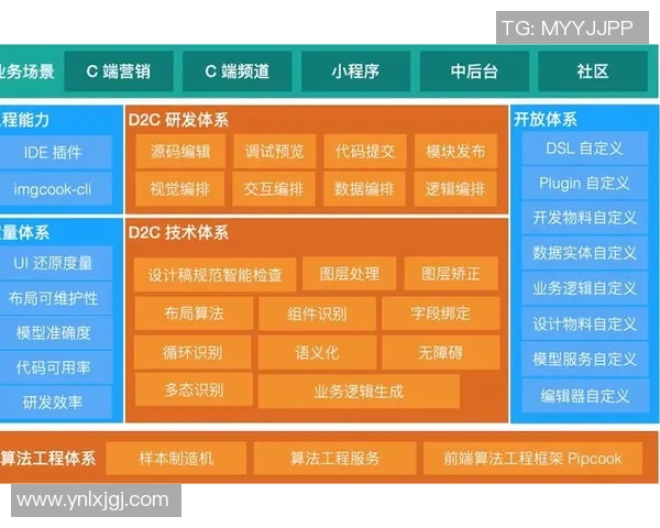 重庆排球队节奏表现分析与数据解读探讨