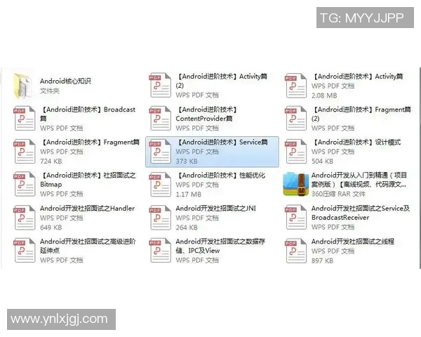 飞盘战术全解析:从基础到进阶的全面指南与实战技巧分享